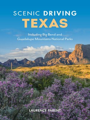 cover image of Scenic Driving Texas